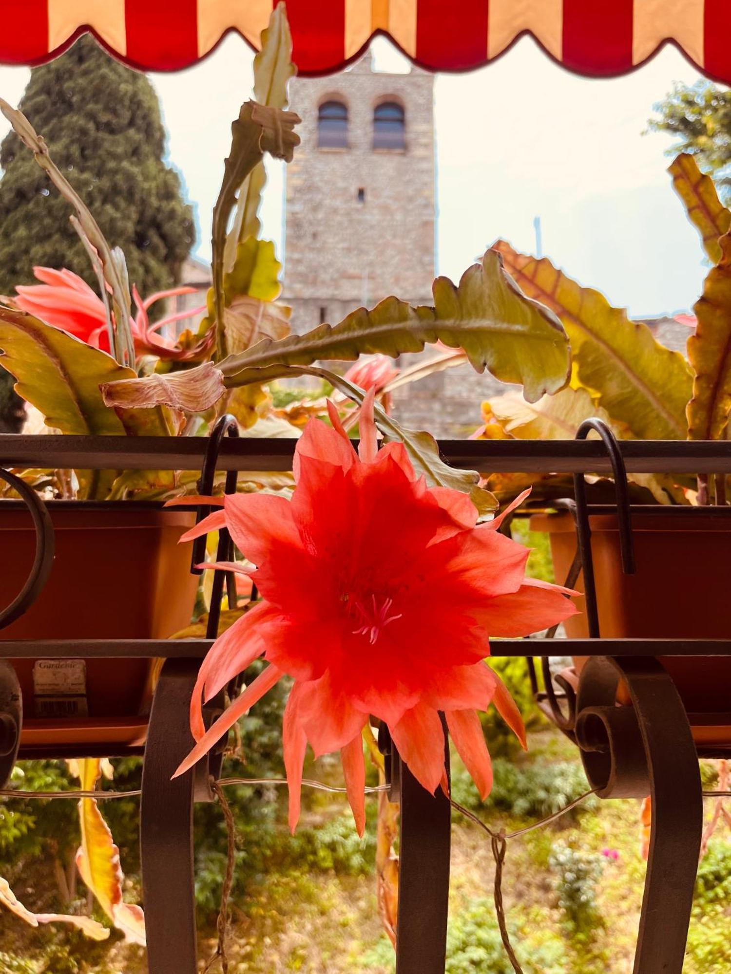 The Tower Of The Old King Bed & Breakfast Desenzano del Garda Exterior photo